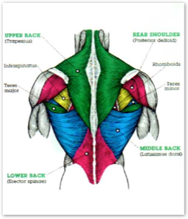 pastedgraphic-13_med