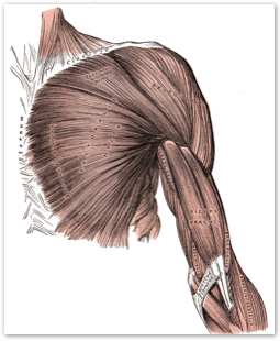 pastedgraphic-6_med