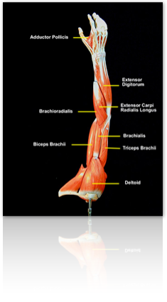 pastedgraphic_1-3_med