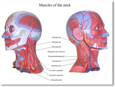 pastedgraphic_2-4_med